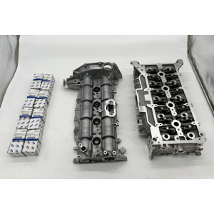 NEU Original Ford Galaxy Zylinderkopf 2.0EcoBlue + 16x Kipphebel + Nockenwellen