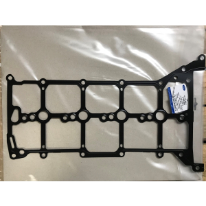 Original Ford Custom 2.0 EcoBlue Nockenwellengehäuse mit Nockenwelle, Dichtung & Hydroschlüssel SET NEU