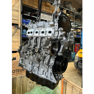 Original Ford Transit Motor 2.0 EcoBlue Euro6 Frontantrieb FABRIKNEU