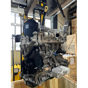 Original Ford Transit Motor 2.0 EcoBlue Euro6 Frontantrieb FABRIKNEU ohne Pfand mechanische Ölpumpe